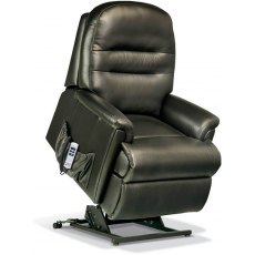 Albany Standard Dual Motor Lift & Tilt Recliner Chair in Leather