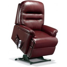 Albany Standard Single Motor Lift & Tilt Recliner Chair in Leather