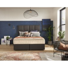 Hypnos Pillow Comfort Calm Hypnos Pillow Comfort Calm