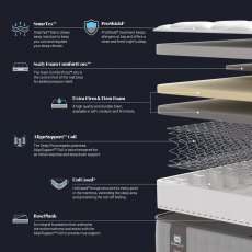 Sealy Emin Firm Flex Mattress Sealy Emin Firm Flex Mattress