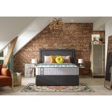 Sealy Elevate Emin Firm Flex Sealy Elevate Emin Firm Flex