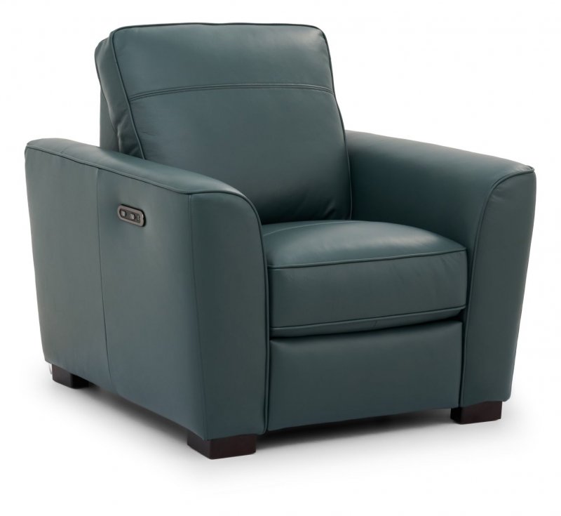 Adelia Leather Power Recliner
