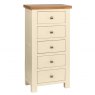 Budleigh Painted 5 Drawer Tall Chest