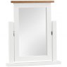 Budleigh Painted Single Vanity Mirror