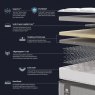 Sealy Sealy Blake Medium Mattress