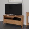 Bradfield Large TV Cabinet