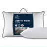 Rest Assured Pillow