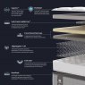 Sealy Sealy Emin Firm Flex Mattress